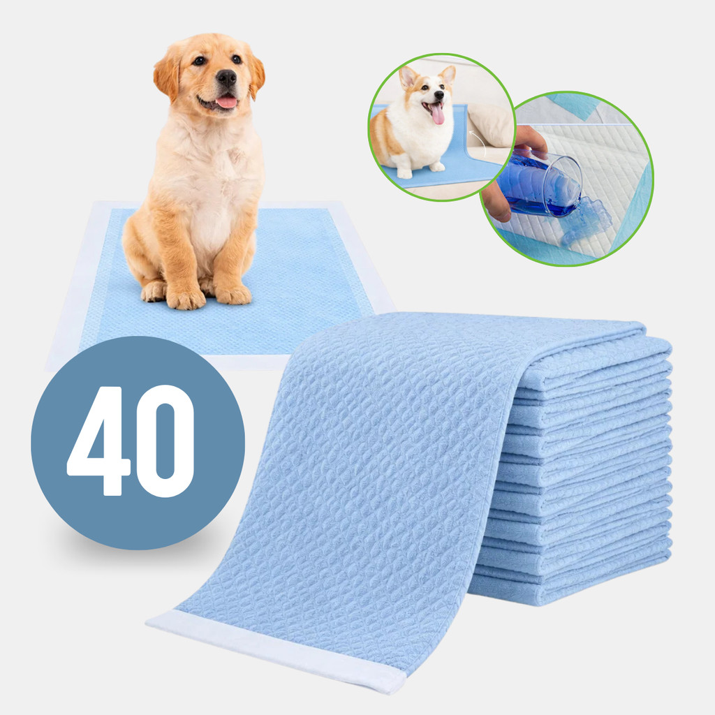 Tapete Descartável Higiênico Para Pet 60x60cm Cães Gatos 40un Fraldas em Oferta na Shopee