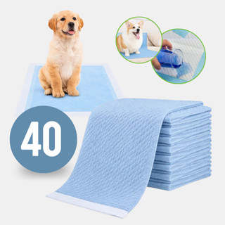 Tapete Descartável Higiênico Para Pet 60x60cm Cães Gatos 40un Fraldas em Oferta na Shopee