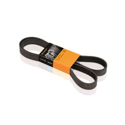 Correia Poly V Strada Spin 1.8