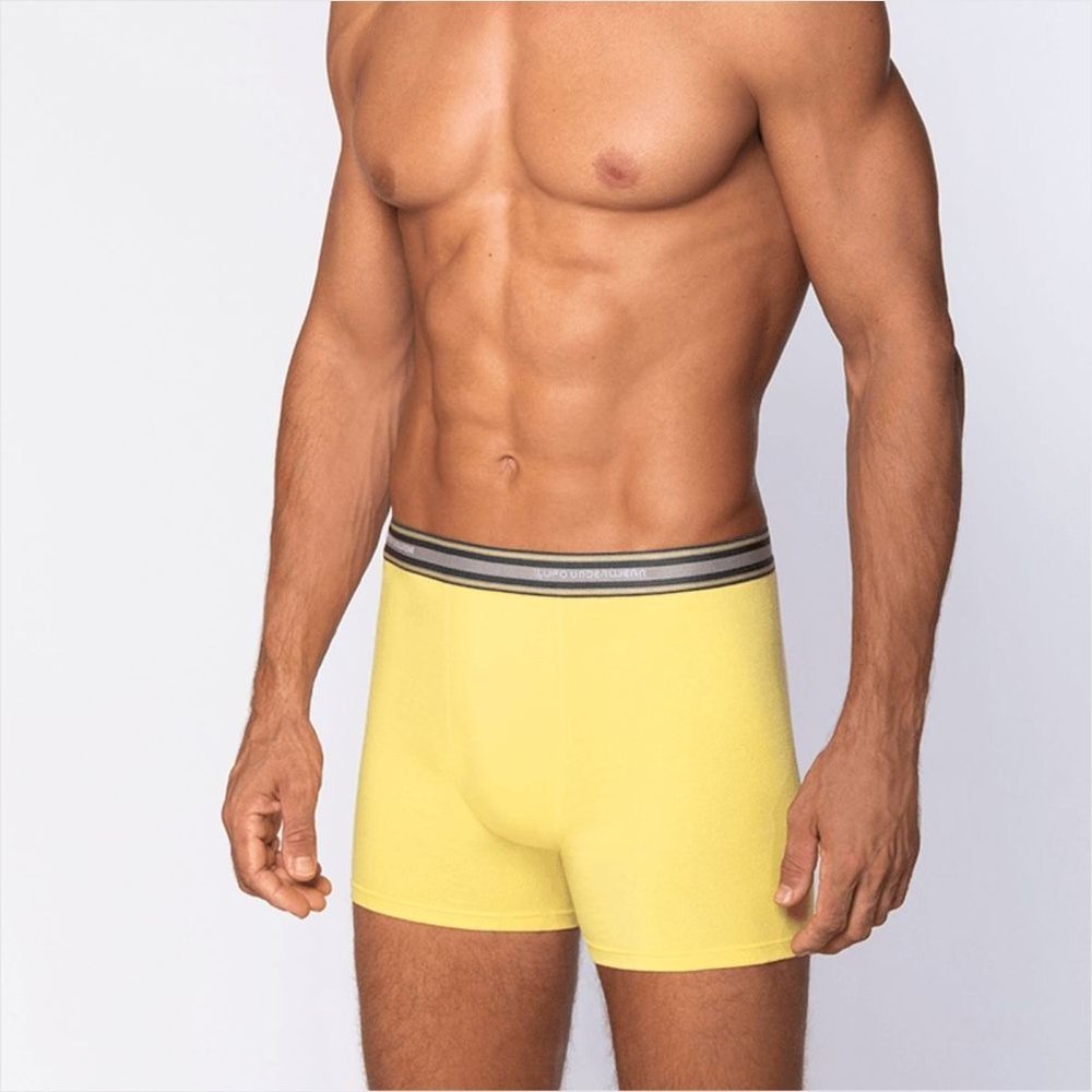 Imagem Cueca Lupo AM Boxer 217194 Microfibra Sem Costura Conforto Elasticidade Masculina