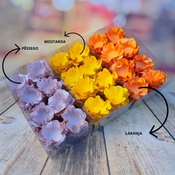 Kit 120 Forminhas para Doces Finos Pêssego + Mostarda + Laranja ( Kit19 ) (CHOCO)
