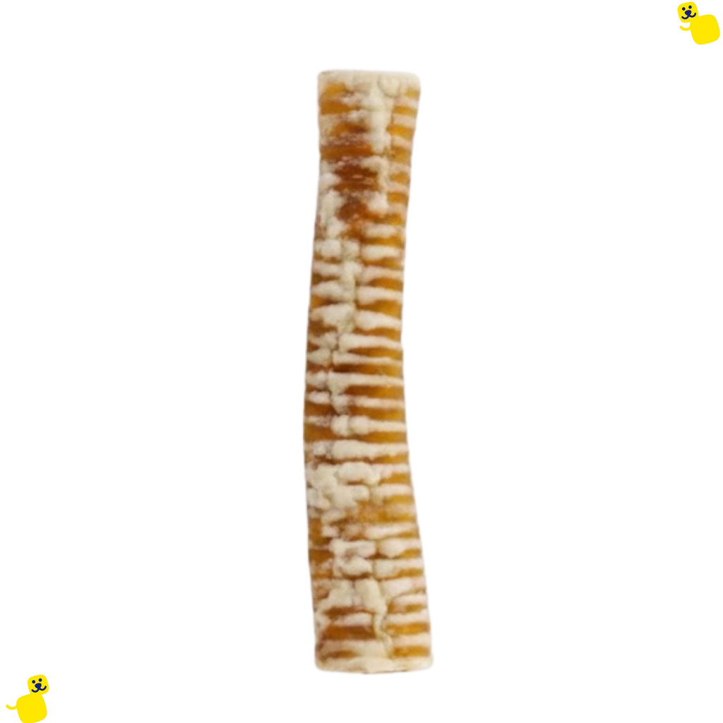 Traqueia Bovina Brupet Desidratados Grande 25 cm