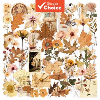 Série Seca Transparente Da Etiqueta Folha Flor , 50 Etiquetas Impermeáveis Dos Pces , Escolar Estética Para O Portátil em Oferta na Shopee