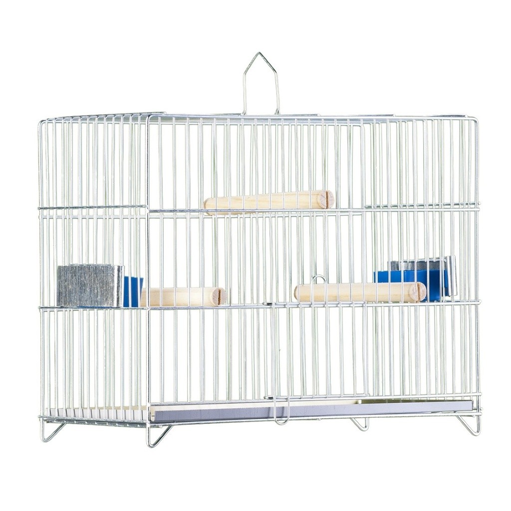 Gaiola Pássaros Quadrada Exposição Canário Periquito Agapornis Prata Gaiolas Londrina- Envio Rápido em Oferta na Shopee