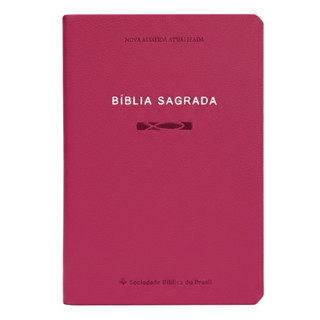 Bíblia Sagrada Slim | NAA | Pink em Oferta na Shopee