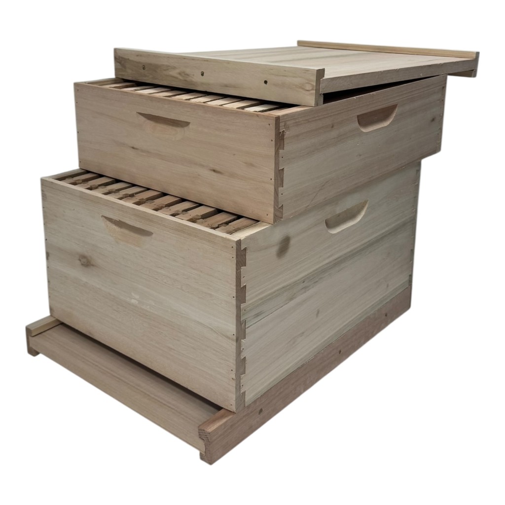 Caixa Para Abelhas Desmontada Padrão Langstroth Em Eucalipto Com 1 Melgueira Com Quadros Sem Arame em Oferta na Shopee