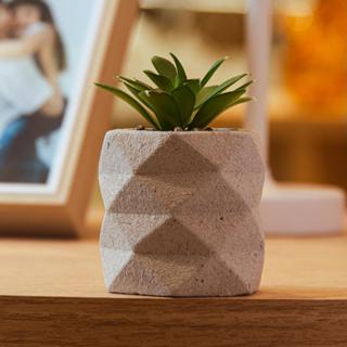 Cachepot Suculenta Artificial Lyor Geometry Cimento Bege em Oferta na Shopee
