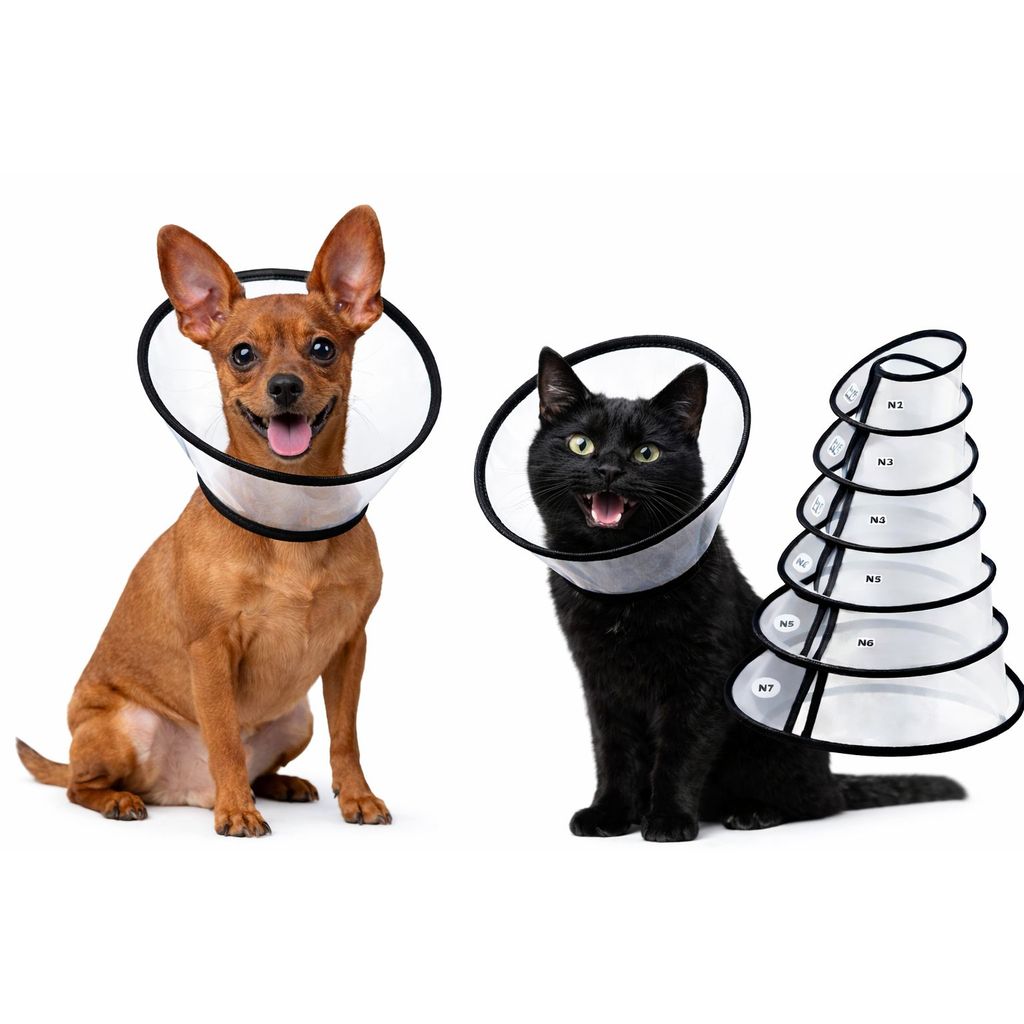 Cone Elizabetano Pet Premium Transparente Anti Lambedura 1 a 7