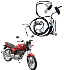 CHICOTE CG TITAN 150 COMPLETO ES ESD 2004 A 2008