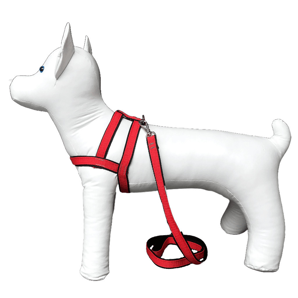 Conjunto Peitoral Com Guia Nylon Duplo Para Cachorro Cão Pequeno Porte Resistente — imagem 2 de 2