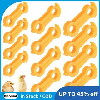 12pçs Aparelho Para Perna De Pintinho , Bebê , Frango , Papagaio , Hobbles , Ferramentas De Cuidados Com Pássaros Pintin