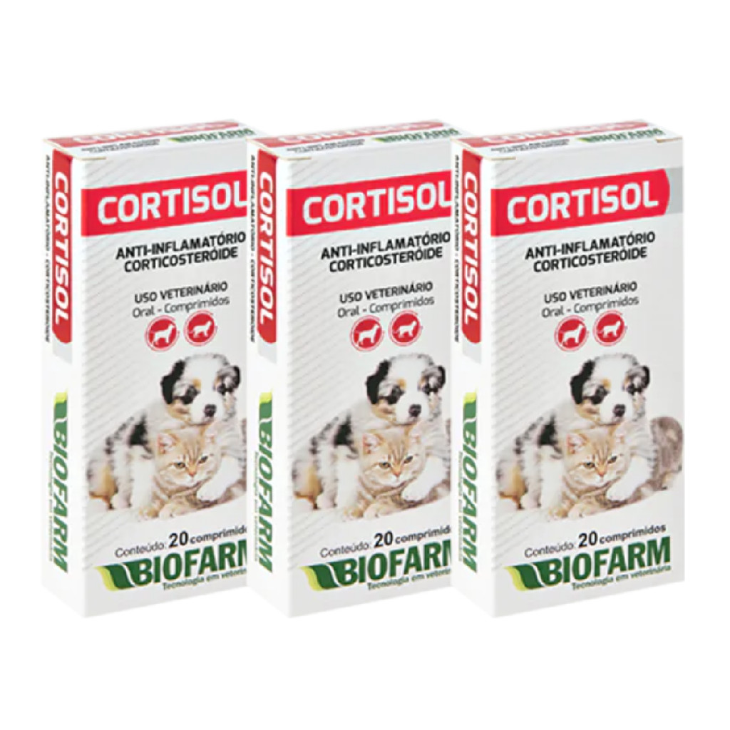 O que é Corticoide para Cachorro? Guia e Onde Comprar | BuscaProdutos