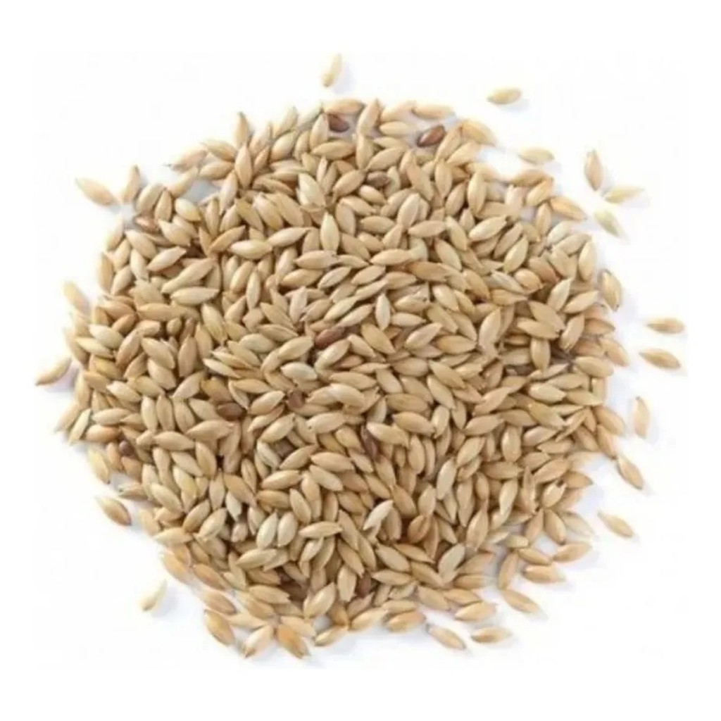 Alpiste Premium Para Passaros Granivoros Semente Selecionada Alta Qualidade em Oferta na Shopee