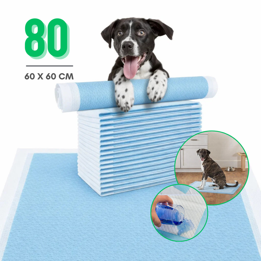 Kit Tapete Higiênico 60x60 cm Descartável Para Cães Fraldas Pet em Oferta na Shopee