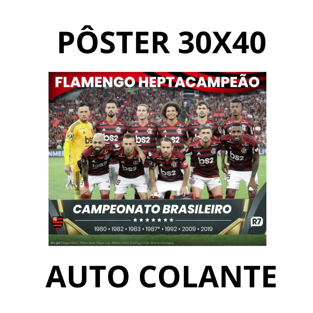 Pôster Flamengo Campeão Brasileiro 2019 Grande 30x40CM Adesivado