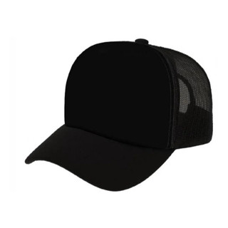 Boné Telinha Liso Truck Aba Curva Snapback Você Escolhe a Cor Envio em 24h em Oferta na Shopee
