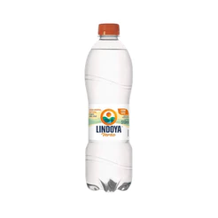 Água Mineral Lindoya Verão com Gás