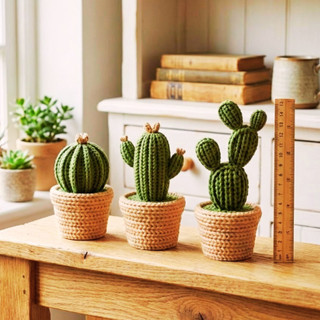 🌵 Kit de Cactos 3D: 50% Off!