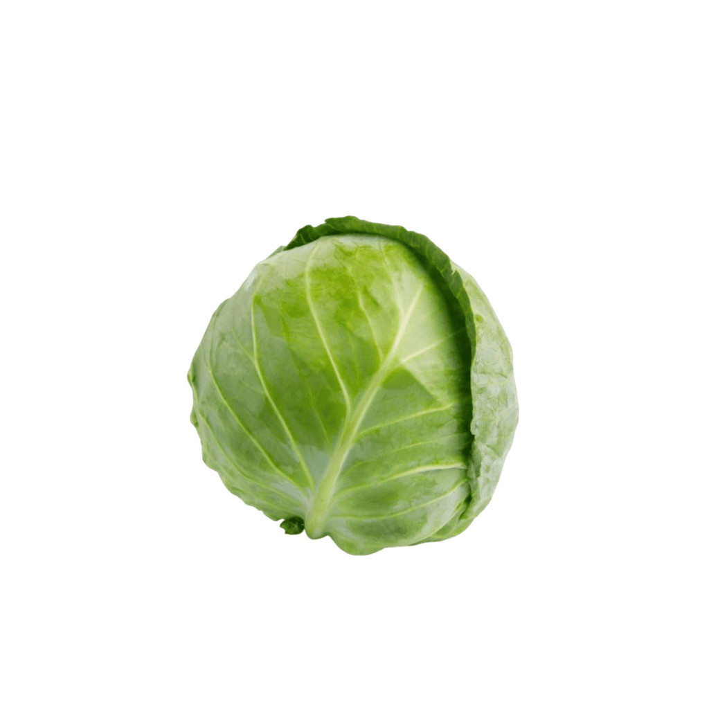 Repolho Verde Orgânico Sítio Cambara