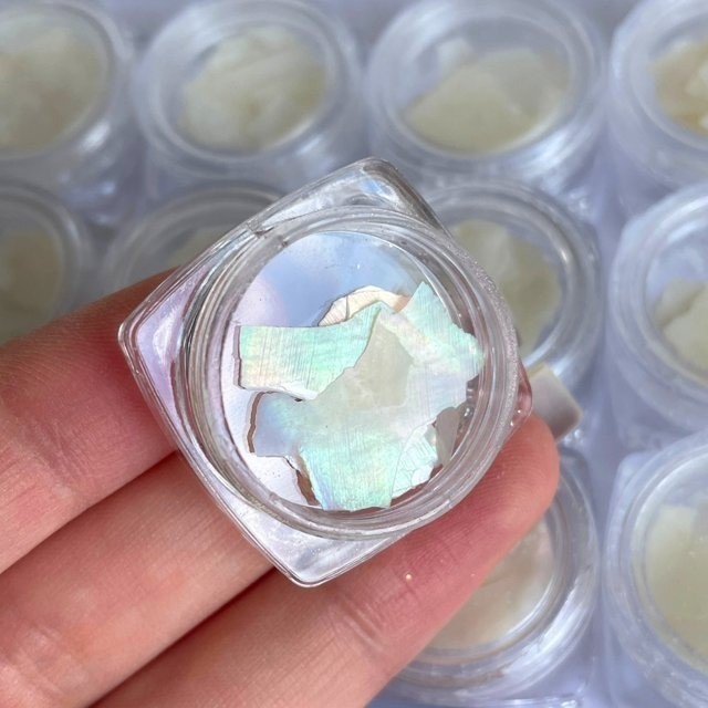 Kit Estojo Com 12 Madre Perola Braca Cor Para Decoração De Unhas Encapsular Alongamento em Oferta na Shopee