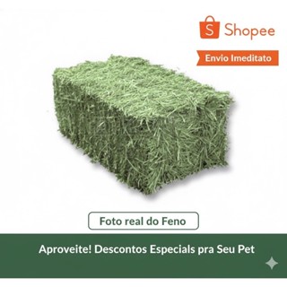 5Kg de Feno Premium Verdinho para Roedores | Envio Imediato 🚀 em Oferta na Shopee