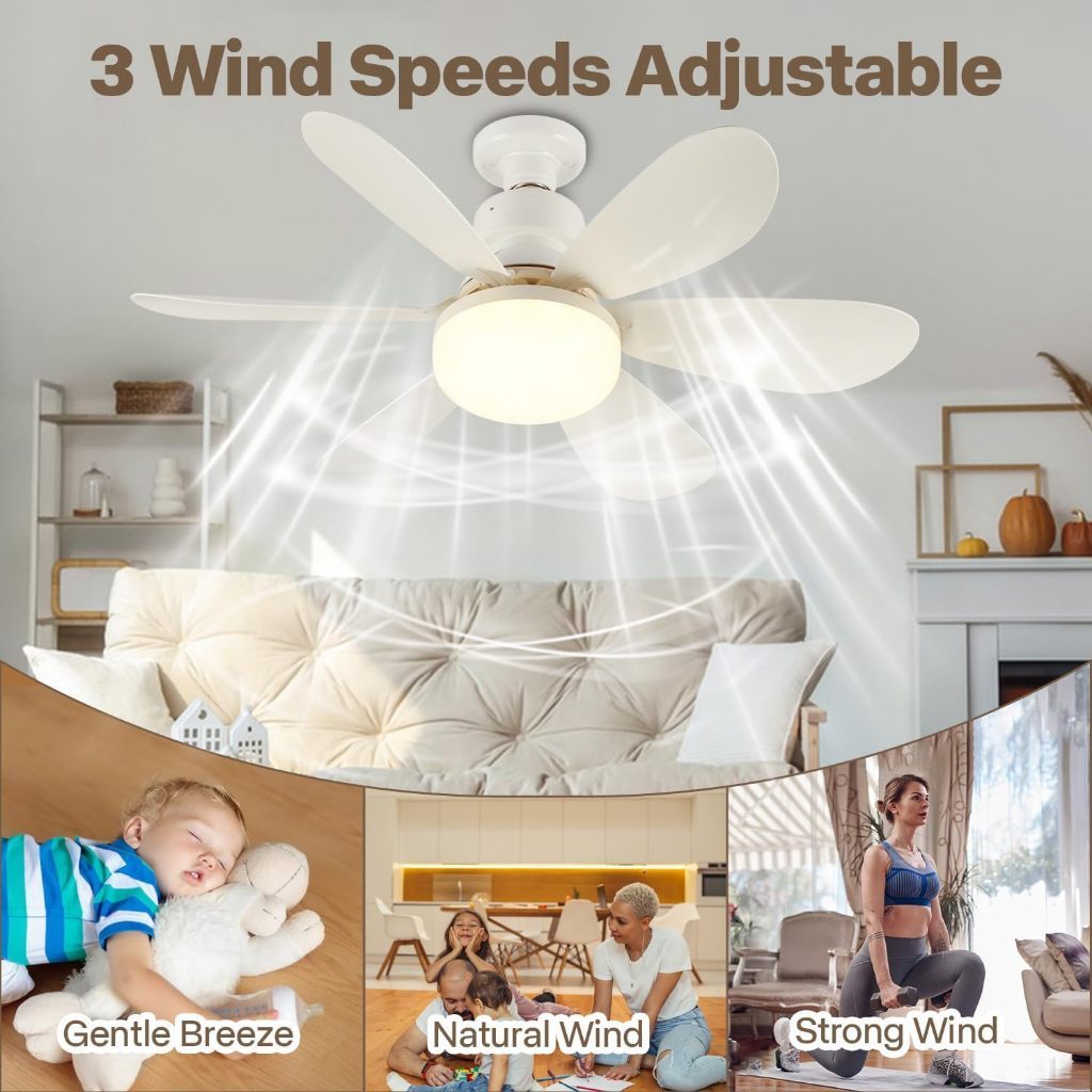 Lâmpada Ventilador 6 Pás 60w/80w De Teto,110V/220V Bivolt, E27 Com Controle Luz Ajustável ZHUA SHOP