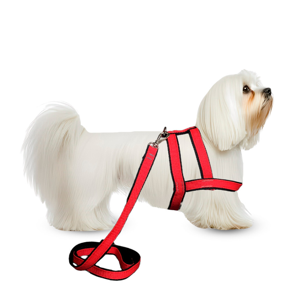 Conjunto Peitoral Com Guia Nylon Duplo Para Cachorro Cão Pequeno Porte Resistente em Oferta na Shopee