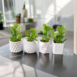 Kit 4 Mini Vasinhos Com Planta Artificiais Decoração De Casas Escritórios em Oferta na Shopee