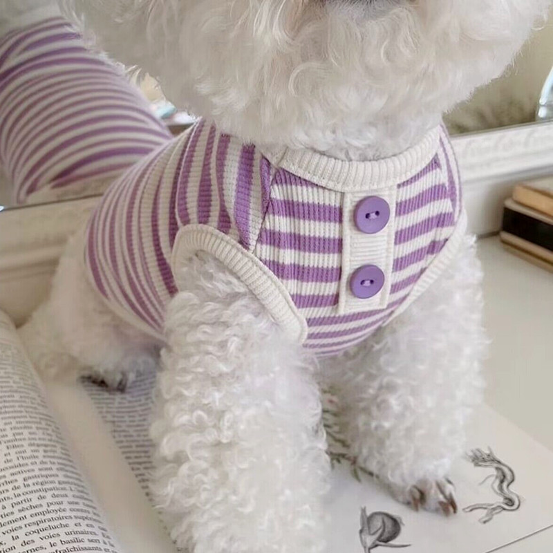 Especial Spike Pet Colete Fino Teddy Bichon Pomeranian Yorkshire Cães Pequenos Gatos Cães Roupas Verão — R$ 36,10 em Shopee