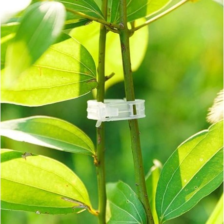 KIT COM 10 CLIPS PARA AMARRAR PLANTA