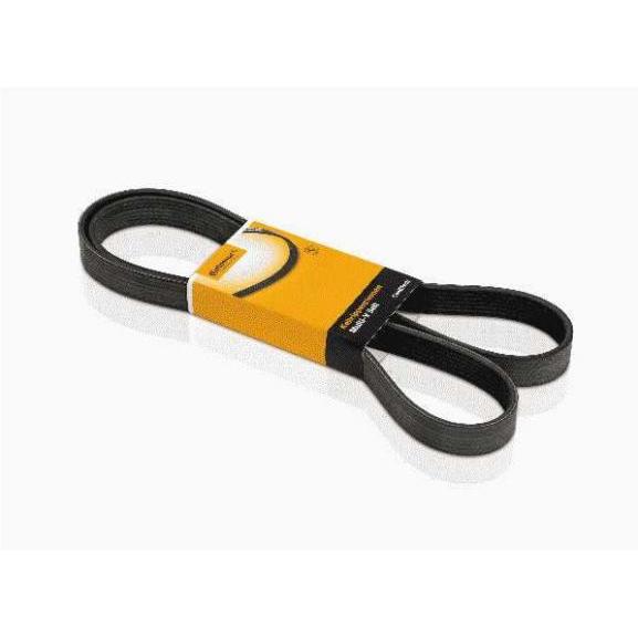 Correia do Alternador Direção Hidráulica do Astra/ Captiva/ Vectra da Direção Hidráulica/ AR condicionado Astra