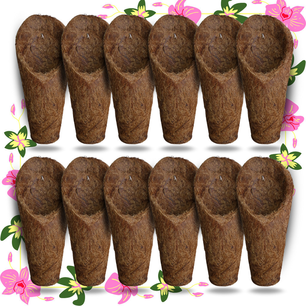 Kit 12 Vaso Cachepot Para Orquídeas Fibra de Coco Modelo Concha Tamanho M (Médio) - (12 Unidades)