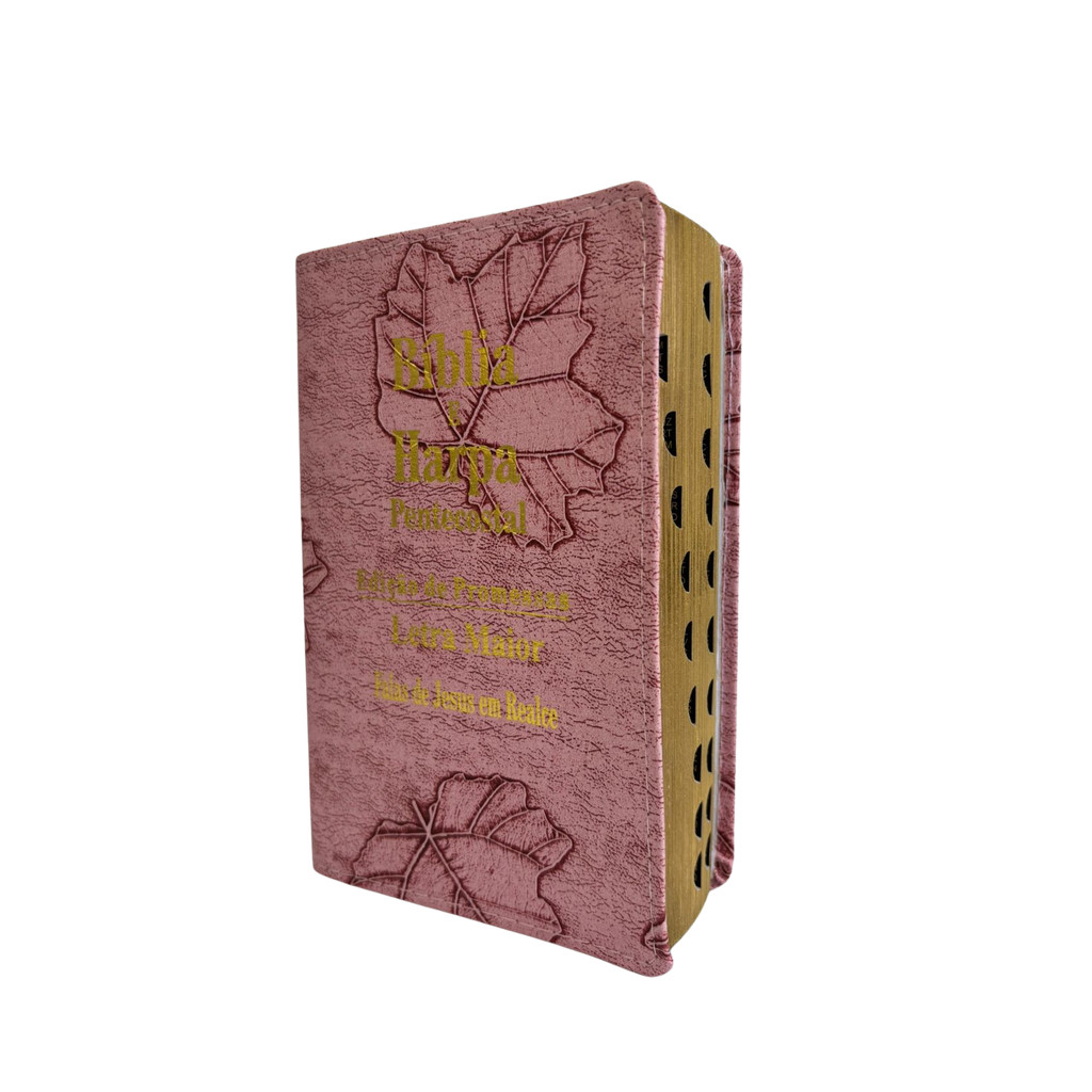 Bíblia Sagrada Letra Média Luxo c Índice Folha Rosa