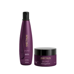 Kit Aneethun No Frizz - Shampoo 300ml + Máscara 250g