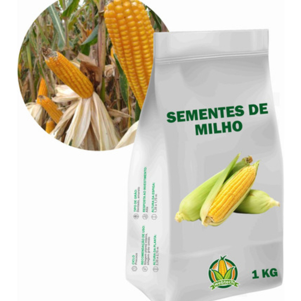 plantio fácil Oferta 500 Sementes De Milho Crioulo Safra Nova P/ Plantio