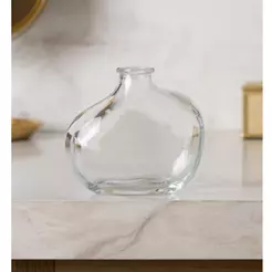Vaso Organics 11cm x 9,5cm x 5,5cm Vidro Wolff