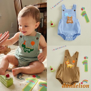 Macacão De Aniversário Para Bebês Meninos , Sem Mangas , Gola Quadrada , Animal , Balão , Bordado , Recém-Nascidos em Oferta na Shopee