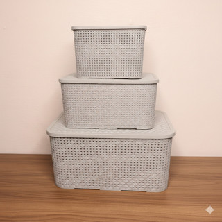 Caixas Organizadoras Rattan Kit 3 tamanhos Cores Plastico 3,5L , 7L e 18L