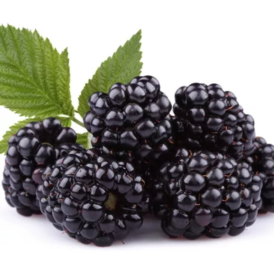 Hobby relaxante 100 sementes Amora Gigante Maior Fruto P/ sementes +Manual | Cultivo por sementes