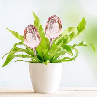 2 Peças Globos de Vidro para Rega Automática de Tulipas, Dispositivos de Rega Automática para Plantas, para Uso Interno 