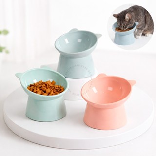 Comedouro Bebedouro Elevado Pet Ergonômico Gato Cachorro Anti Engasgo em Oferta na Shopee