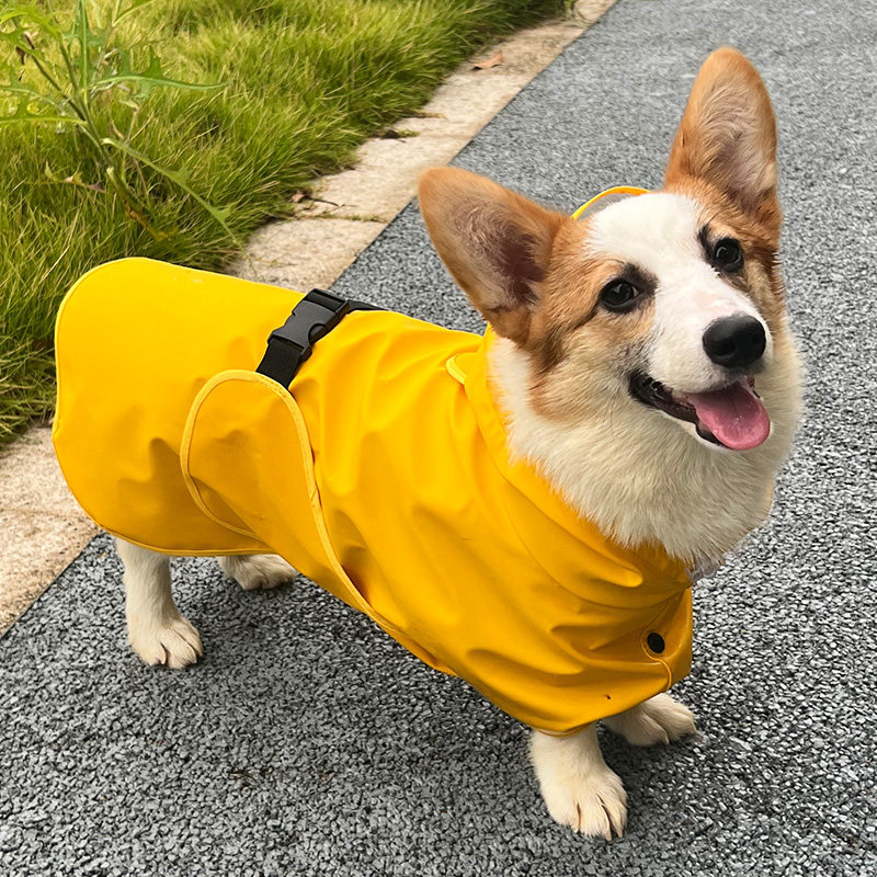 Capa de chuva para cachorro Corgi Cão de tamanho médio à prova d'água Shiba Inu Luta francesa Bichon Schnauzer Respiráve