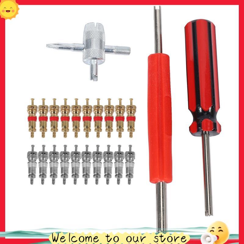 Conjunto De Ferramentas De Núcleo De Válvula sassoon1 20 Unidades De Núcleos , Ferramenta De 4 Vias , Removedor Cabeça Ú