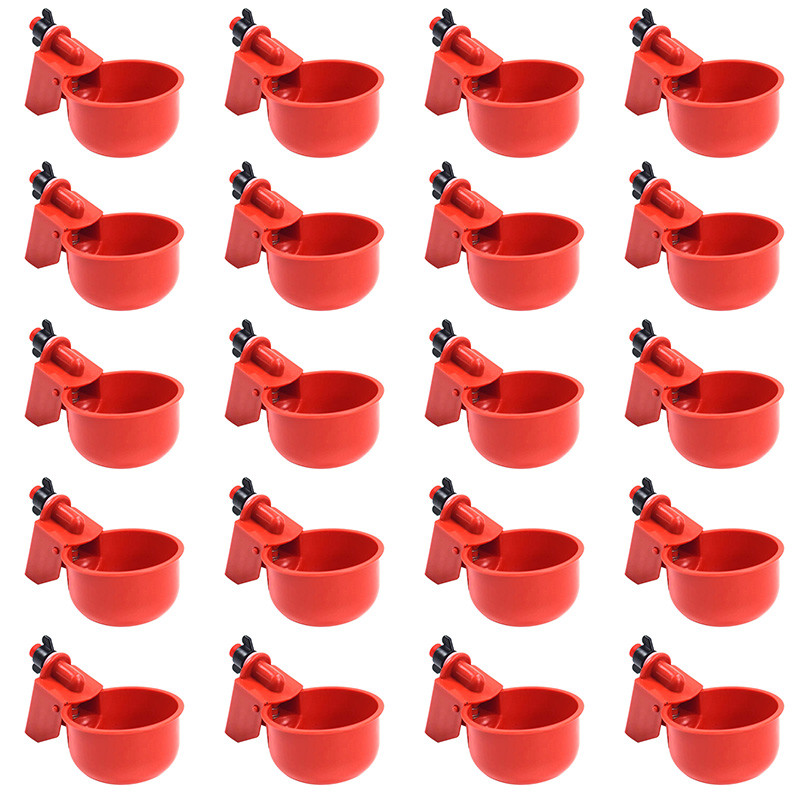 5-10-20 bebedouros automáticos Copo pequeno Bebedouro para galinhas Bebedouro para pássaros em Oferta na Shopee