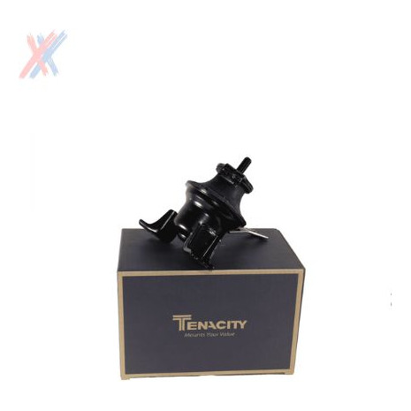 Coxim Motor Direito Hidráulico Mitsubishi Airtrek Tenacity