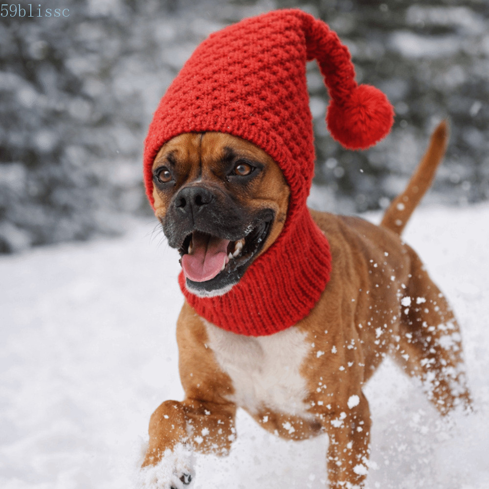 Chapéu De Malha Para Cachorro BLISSC , Capa Elástica Orelhas , Envoltório Cabeça De Animal De Estimação , Quente E Aconc