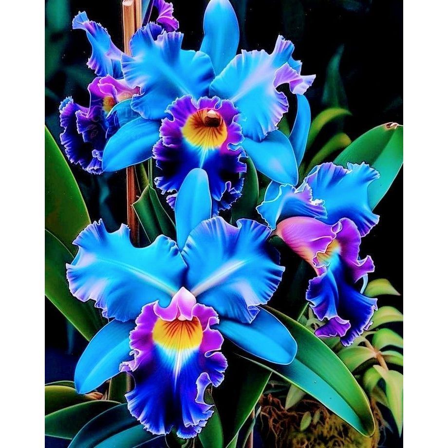 Orquídea Saturn’s Flame 100 sementes com manual de cultivo SS sementes organicas