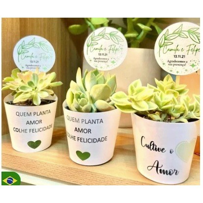 Rótulo Branco + tag Personalizada para lembrancinhas de Mini Suculentas - aniversarios, chá de bebe, revelação.