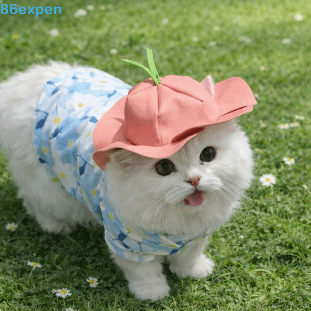 EXPEN1 Chapéu De Sol Para Cachorro , Guarda-Em Forma De Chifre De Ovelha Flor Praia Resfriamento De Couro Artificial