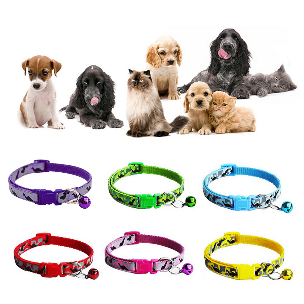 Novo estilo coleira para animais de estimação, coleira para cães e gatos, suprimentos para animais de estimação, estoque